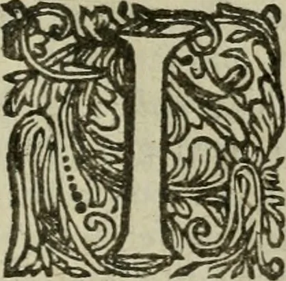 An illustration from Hollands heyll' en rampen ofte desselfs gelukk' en ongelukken : tegens malkanderen vertoond : in twee deelen ..., 1686, leaf 664