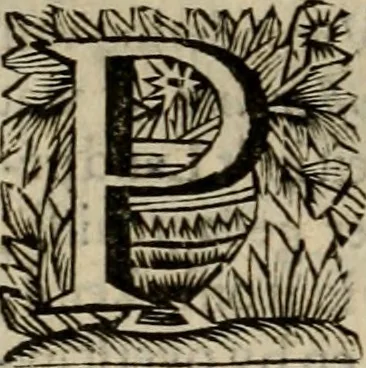 An illustration from Hollands heyll' en rampen ofte desselfs gelukk' en ongelukken : tegens malkanderen vertoond : in twee deelen ..., 1686, leaf 669