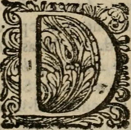 An illustration from Hollands heyll' en rampen ofte desselfs gelukk' en ongelukken : tegens malkanderen vertoond : in twee deelen ..., 1686, leaf 683