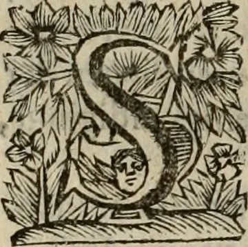 An illustration from Hollands heyll' en rampen ofte desselfs gelukk' en ongelukken : tegens malkanderen vertoond : in twee deelen ..., 1686, leaf 687
