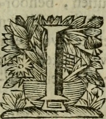 An illustration from Hollands heyll' en rampen ofte desselfs gelukk' en ongelukken : tegens malkanderen vertoond : in twee deelen ..., 1686, leaf 688