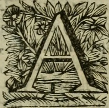 An illustration from Hollands heyll' en rampen ofte desselfs gelukk' en ongelukken : tegens malkanderen vertoond : in twee deelen ..., 1686, leaf 690