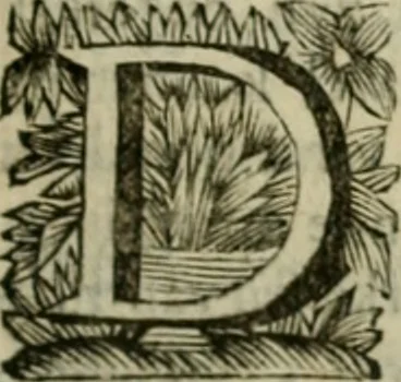 An illustration from Hollands heyll' en rampen ofte desselfs gelukk' en ongelukken : tegens malkanderen vertoond : in twee deelen ..., 1686, leaf 70
