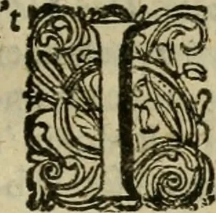An illustration from Hollands heyll' en rampen ofte desselfs gelukk' en ongelukken : tegens malkanderen vertoond : in twee deelen ..., 1686, leaf 700