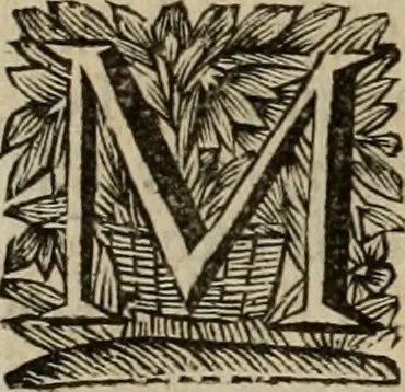 An illustration from Hollands heyll' en rampen ofte desselfs gelukk' en ongelukken : tegens malkanderen vertoond : in twee deelen ..., 1686, leaf 705