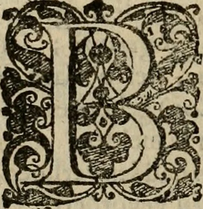 An illustration from Hollands heyll' en rampen ofte desselfs gelukk' en ongelukken : tegens malkanderen vertoond : in twee deelen ..., 1686, leaf 713