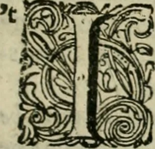 An illustration from Hollands heyll' en rampen ofte desselfs gelukk' en ongelukken : tegens malkanderen vertoond : in twee deelen ..., 1686, leaf 72