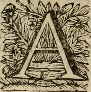 An illustration from Hollands heyll' en rampen ofte desselfs gelukk' en ongelukken : tegens malkanderen vertoond : in twee deelen ..., 1686, leaf 721