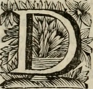 An illustration from Hollands heyll' en rampen ofte desselfs gelukk' en ongelukken : tegens malkanderen vertoond : in twee deelen ..., 1686, leaf 75
