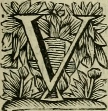 An illustration from Hollands heyll' en rampen ofte desselfs gelukk' en ongelukken : tegens malkanderen vertoond : in twee deelen ..., 1686, leaf 78
