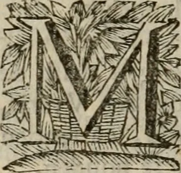 An illustration from Hollands heyll' en rampen ofte desselfs gelukk' en ongelukken : tegens malkanderen vertoond : in twee deelen ..., 1686, leaf 795
