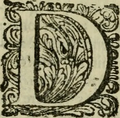 An illustration from Hollands heyll' en rampen ofte desselfs gelukk' en ongelukken : tegens malkanderen vertoond : in twee deelen ..., 1686, leaf 800