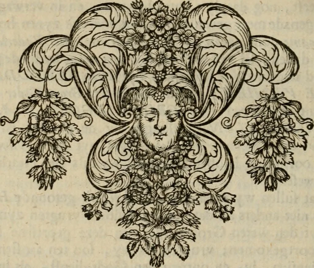An illustration from Hollands heyll' en rampen ofte desselfs gelukk' en ongelukken : tegens malkanderen vertoond : in twee deelen ..., 1686, leaf 803