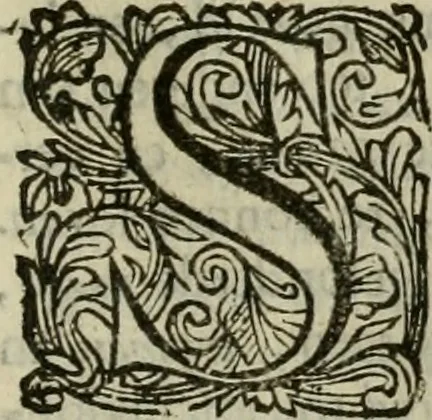 An illustration from Hollands heyll' en rampen ofte desselfs gelukk' en ongelukken : tegens malkanderen vertoond : in twee deelen ..., 1686, leaf 804