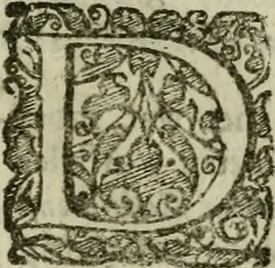 An illustration from Hollands heyll' en rampen ofte desselfs gelukk' en ongelukken : tegens malkanderen vertoond : in twee deelen ..., 1686, leaf 810