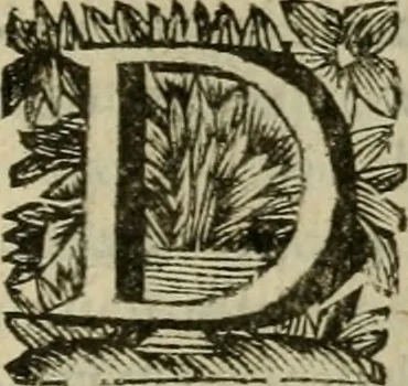 An illustration from Hollands heyll' en rampen ofte desselfs gelukk' en ongelukken : tegens malkanderen vertoond : in twee deelen ..., 1686, leaf 814