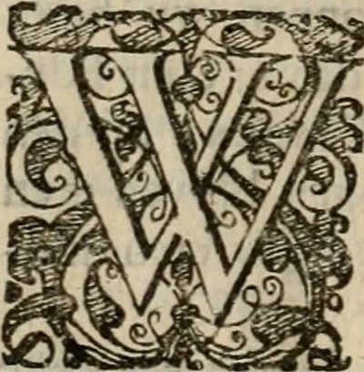 An illustration from Hollands heyll' en rampen ofte desselfs gelukk' en ongelukken : tegens malkanderen vertoond : in twee deelen ..., 1686, leaf 817