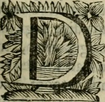 An illustration from Hollands heyll' en rampen ofte desselfs gelukk' en ongelukken : tegens malkanderen vertoond : in twee deelen ..., 1686, leaf 96