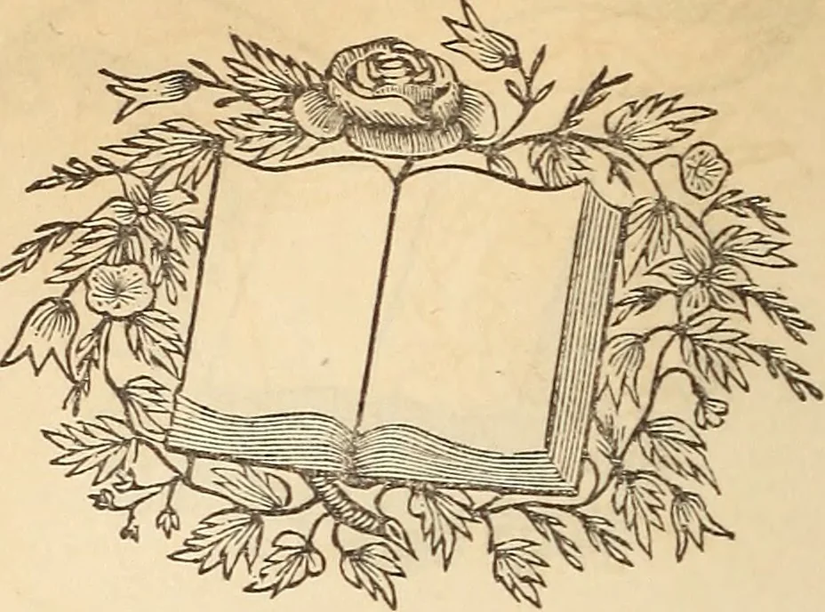 An illustration from The Holy Bible, 1582, leaf 705