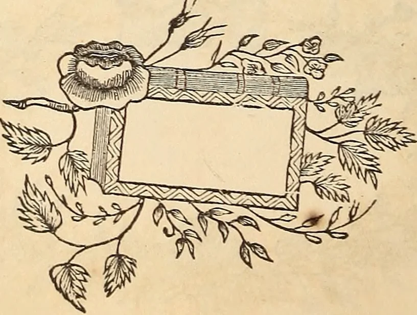An illustration from The Holy Bible, 1582, leaf 705