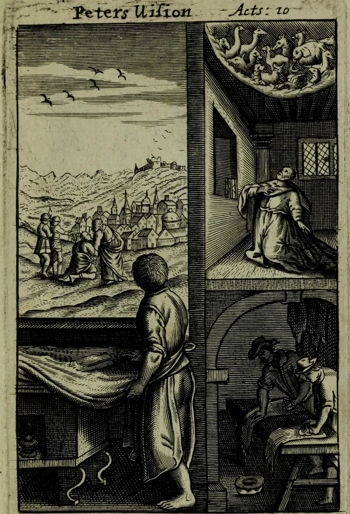 An illustration from The Holy Bible : containing the Old Testament and the New, 1671, leaf 1162