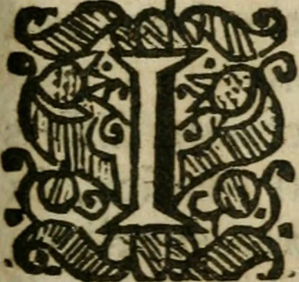 An illustration from The holy guide : leading the way to the wonder of the world : a compleat phisitian, teaching the knowledge of all things, past, present, and to come, viz., of pleasure, long life, health, youth, blessedness, wisdome and virtue, and to cure, change, and remedy all diseases in young and old : with Rosie Crucian medicines which are verified by a practical examination of principles in the great world and fitted for the easie understanding, plain practise, use, and benefit of mean capacities, 1662, leaf 186