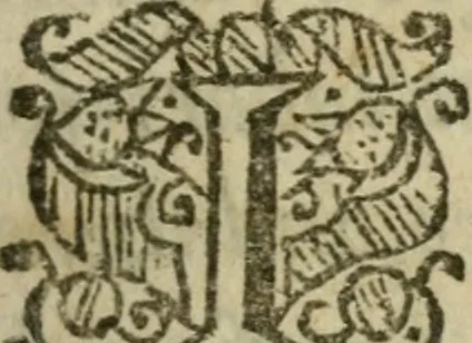 An illustration from The holy guide : leading the way to the wonder of the world : a compleat phisitian, teaching the knowledge of all things, past, present, and to come, viz., of pleasure, long life, health, youth, blessedness, wisdome and virtue, and to cure, change, and remedy all diseases in young and old : with Rosie Crucian medicines which are verified by a practical examination of principles in the great world and fitted for the easie understanding, plain practise, use, and benefit of mean capacities, 1662, leaf 8