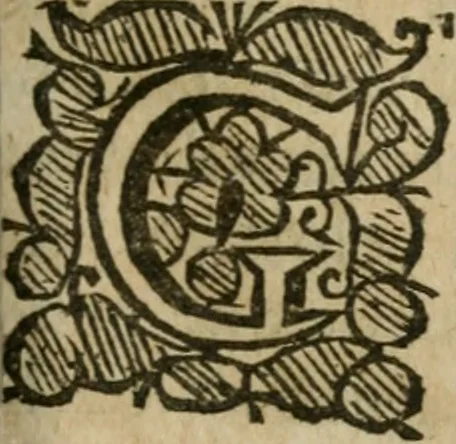 An illustration from The holy guide : leading the way to the wonder of the world : a compleat phisitian, teaching the knowledge of all things, past, present, and to come, viz., of pleasure, long life, health, youth, blessedness, wisdome and virtue, and to cure, change, and remedy all diseases in young and old : with Rosie Crucian medicines which are verified by a practical examination of principles in the great world and fitted for the easie understanding, plain practise, use, and benefit of mean capacities, 1662, leaf 870