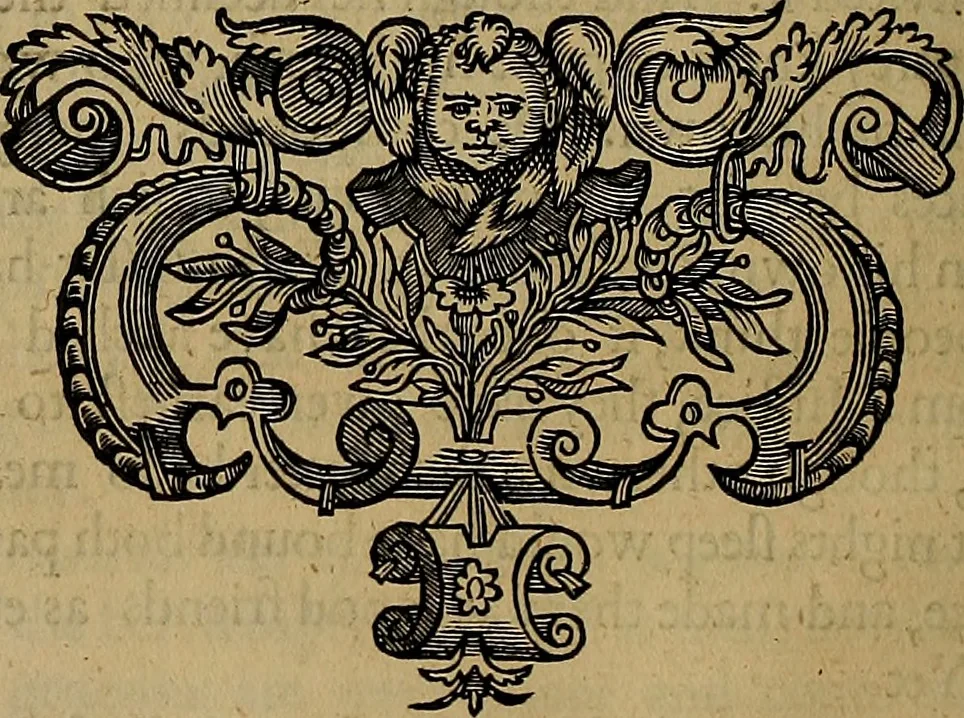 An illustration from The holy state, 1642, leaf 171