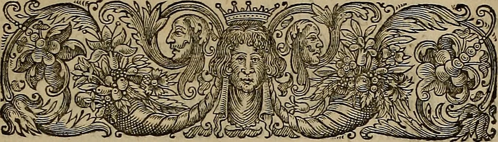 An illustration from The holy state, 1642, leaf 376