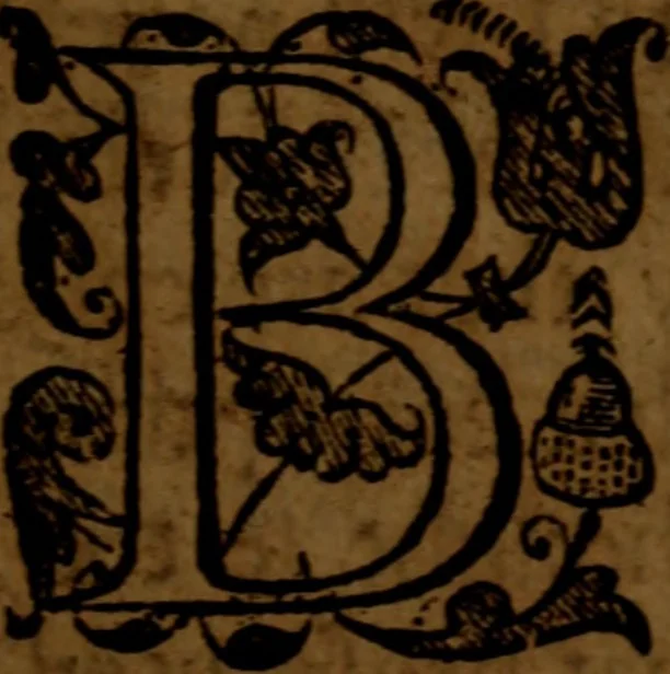 An illustration from A holy commonwealth : or, Political aphorisms, opening the true principles of government: for the healing of the mistakes, and resolving the doubts, that most endanger England at this time .., 1659, leaf 8