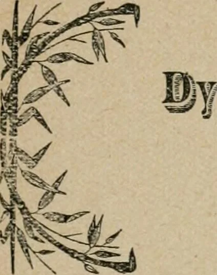 An illustration from The home beyond, or, Views of heaven and its relation to earth, 1898, leaf 154