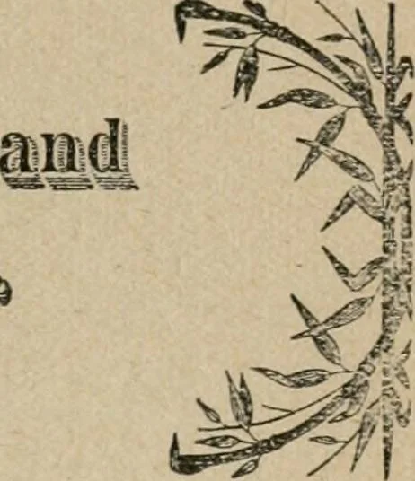 An illustration from The home beyond, or, Views of heaven and its relation to earth, 1898, leaf 154