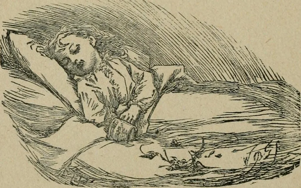 An illustration from The home beyond, or, Views of heaven and its relation to earth, 1898, leaf 297