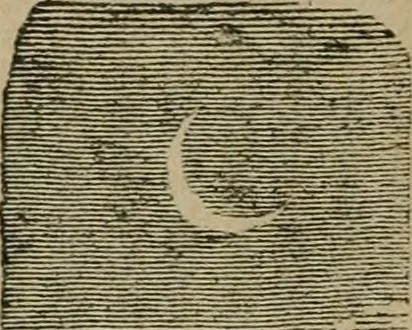 An illustration from The home beyond, or, Views of heaven and its relation to earth, 1898, leaf 455