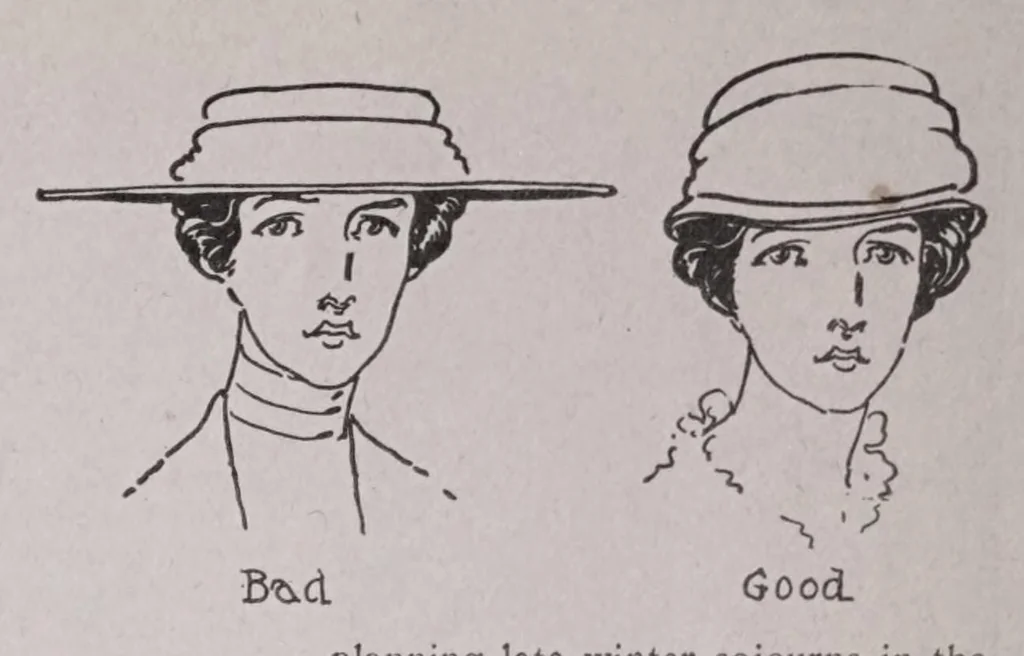 An illustration from Home craft, the American woman's handibook, 1920, leaf 49