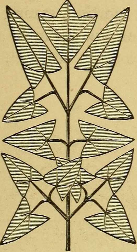 An illustration from Home decoration: art needle-work and embroidery; painting on silk, satin, and velvet; panel-painting; and wood-carving, 1881, leaf 14