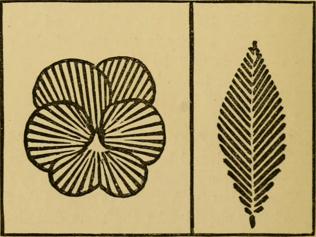 An illustration from Home decoration: art needle-work and embroidery; painting on silk, satin, and velvet; panel-painting; and wood-carving, 1881, leaf 31