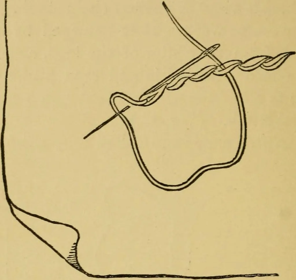 An illustration from Home decoration: art needle-work and embroidery; painting on silk, satin, and velvet; panel-painting; and wood-carving, 1881, leaf 35