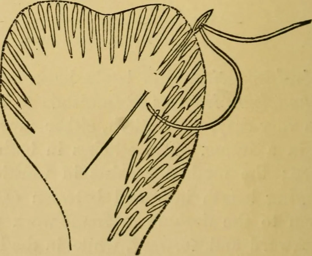 An illustration from Home decoration: art needle-work and embroidery; painting on silk, satin, and velvet; panel-painting; and wood-carving, 1881, leaf 35