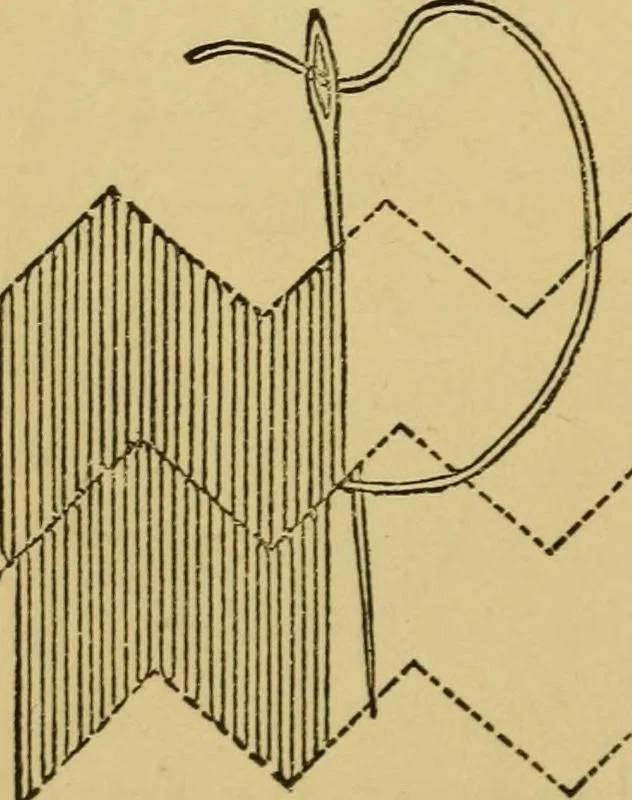 An illustration from Home decoration: art needle-work and embroidery; painting on silk, satin, and velvet; panel-painting; and wood-carving, 1881, leaf 39