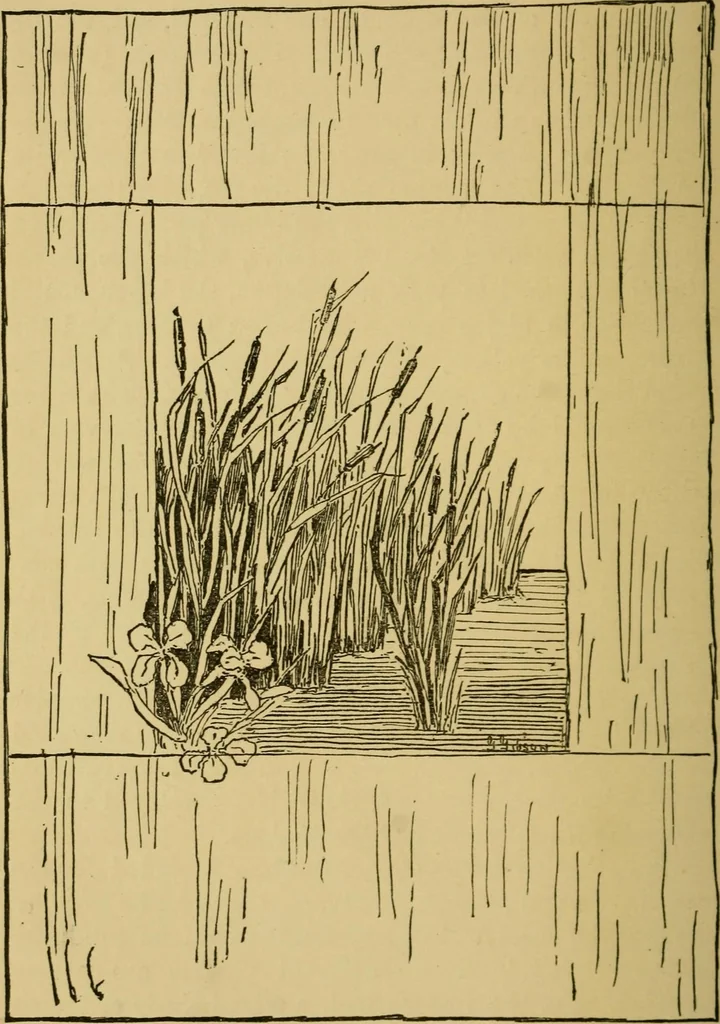 An illustration from Home decoration: art needle-work and embroidery; painting on silk, satin, and velvet; panel-painting; and wood-carving, 1881, leaf 53