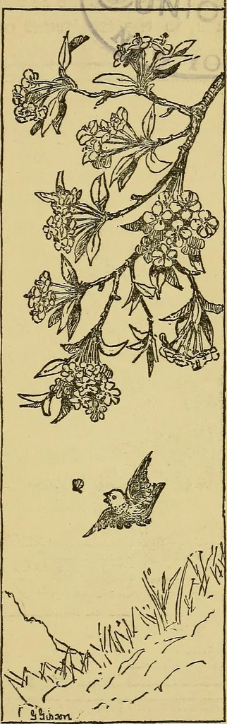 An illustration from Home decoration: art needle-work and embroidery; painting on silk, satin, and velvet; panel-painting; and wood-carving, 1881, leaf 74