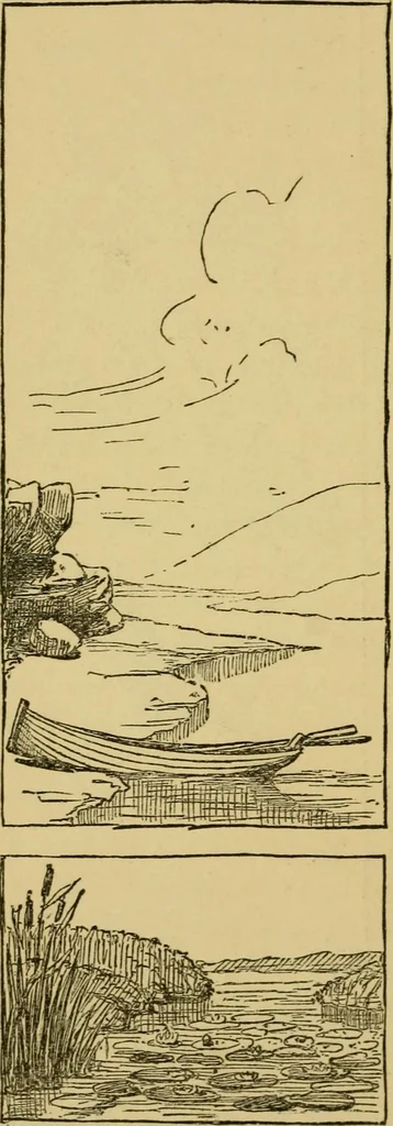 An illustration from Home decoration: art needle-work and embroidery; painting on silk, satin, and velvet; panel-painting; and wood-carving, 1881, leaf 75