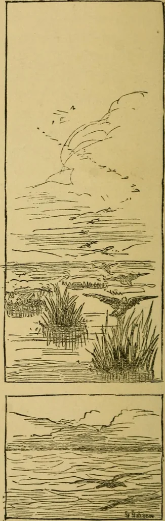 An illustration from Home decoration: art needle-work and embroidery; painting on silk, satin, and velvet; panel-painting; and wood-carving, 1881, leaf 75