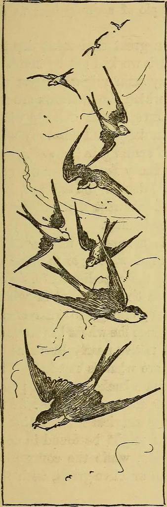 An illustration from Home decoration: art needle-work and embroidery; painting on silk, satin, and velvet; panel-painting; and wood-carving, 1881, leaf 78