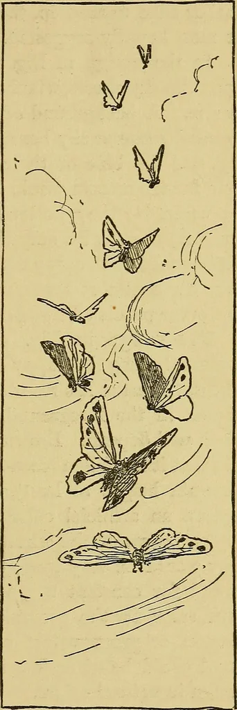 An illustration from Home decoration: art needle-work and embroidery; painting on silk, satin, and velvet; panel-painting; and wood-carving, 1881, leaf 78