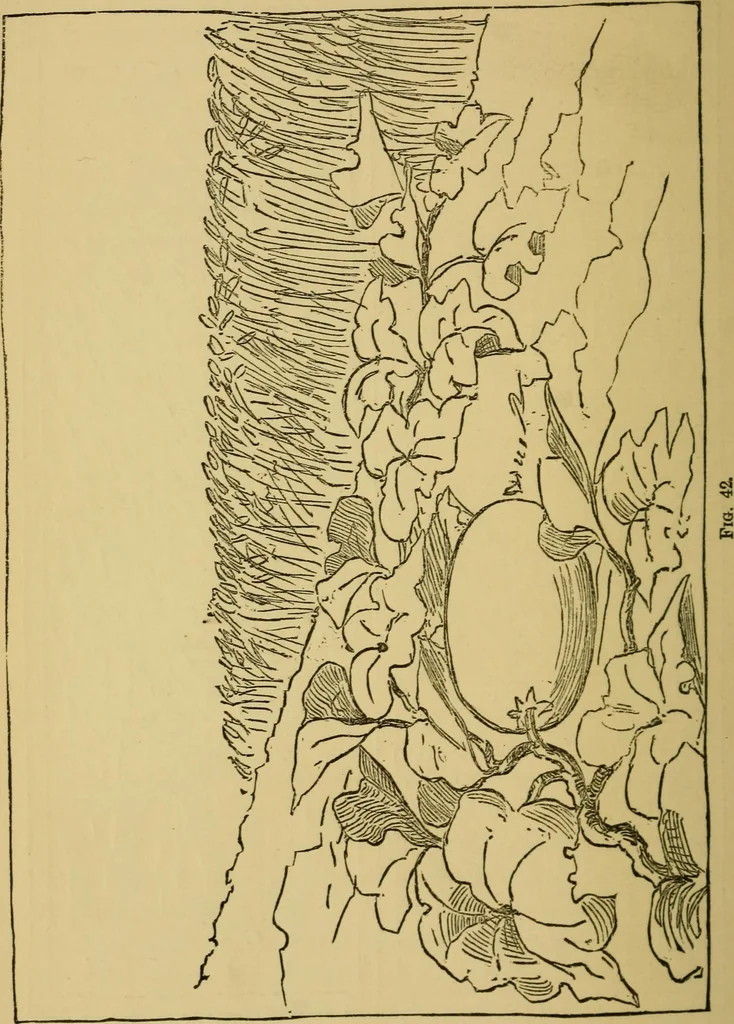 An illustration from Home decoration: art needle-work and embroidery; painting on silk, satin, and velvet; panel-painting; and wood-carving, 1881, leaf 81