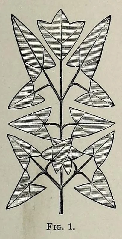 An illustration from Home decoration: art needle-work and embroidery; painting on silk, satin, and velvet; panel-painting; and wood-carving, 1881, leaf 13