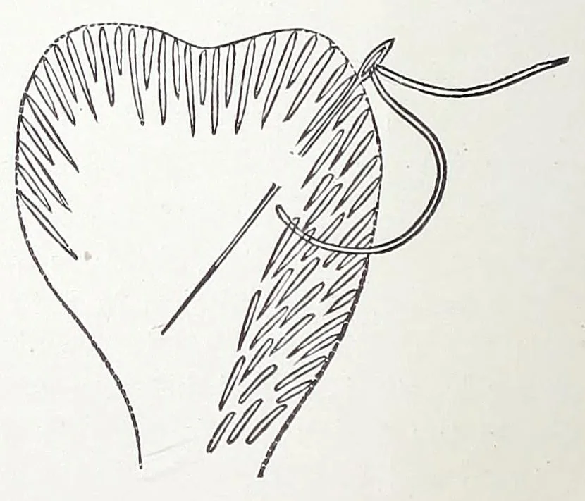 An illustration from Home decoration: art needle-work and embroidery; painting on silk, satin, and velvet; panel-painting; and wood-carving, 1881, leaf 34